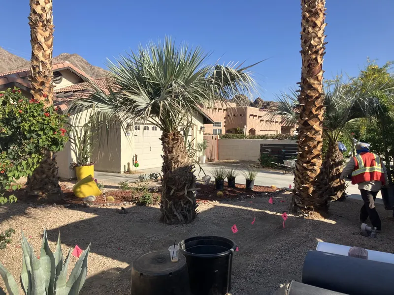 Palm installation at a residence