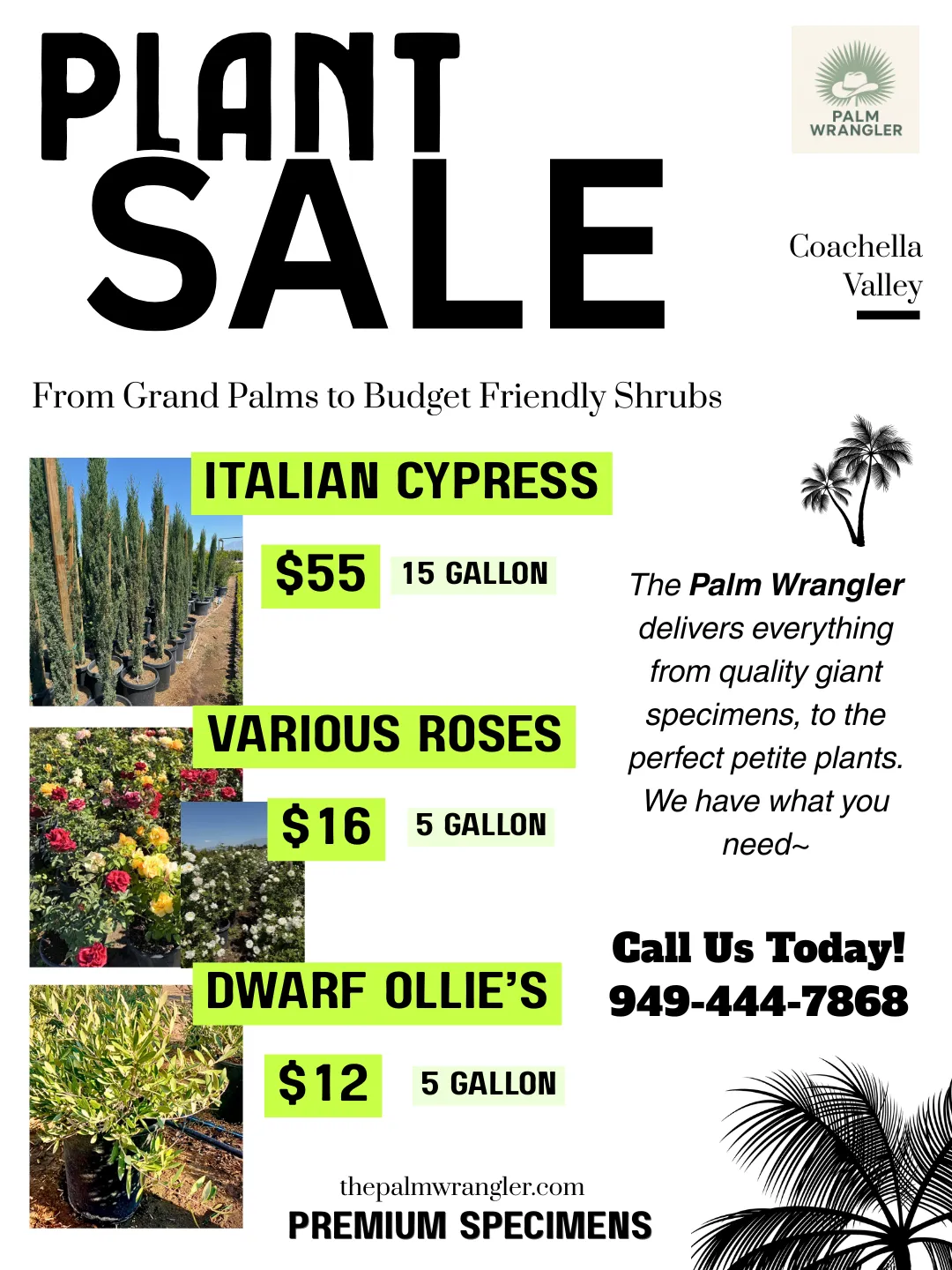 Early Summer Plant Sale
